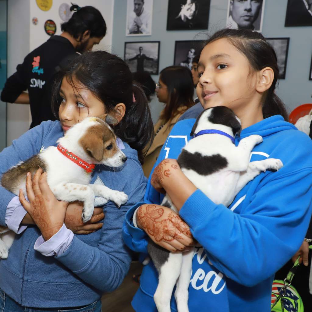 Animal Welfare